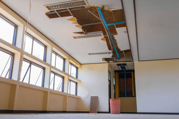 Best Water damage contractors near me  in Hapeville, GA