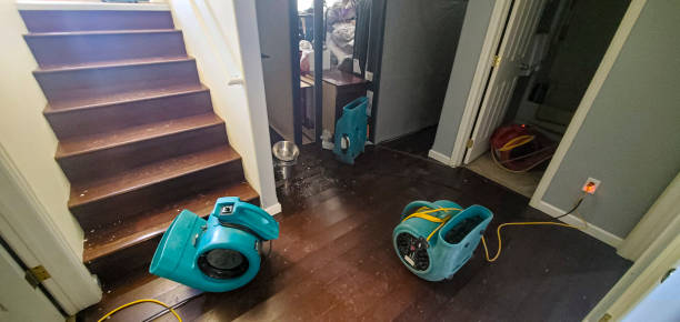 Best Professional water damage repair  in Hapeville, GA