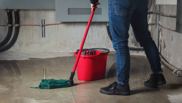 Best Local water damage restoration  in Hapeville, GA