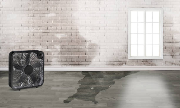 Best Water damage restoration near me  in Hapeville, GA