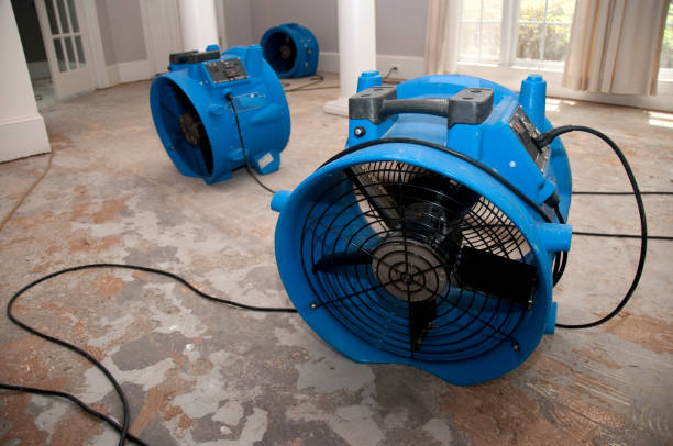 Best Water damage restoration near me  in Hapeville, GA