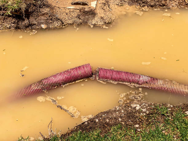 Local water damage restoration in GA