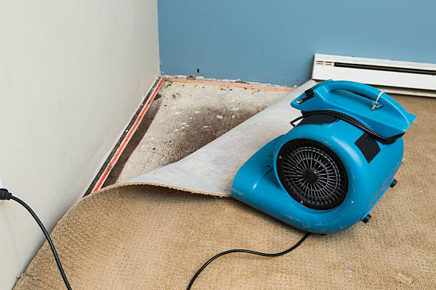 Best 24-hour water damage restoration  in Hapeville, GA